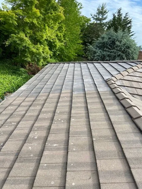 Slide of Nautical Roofing