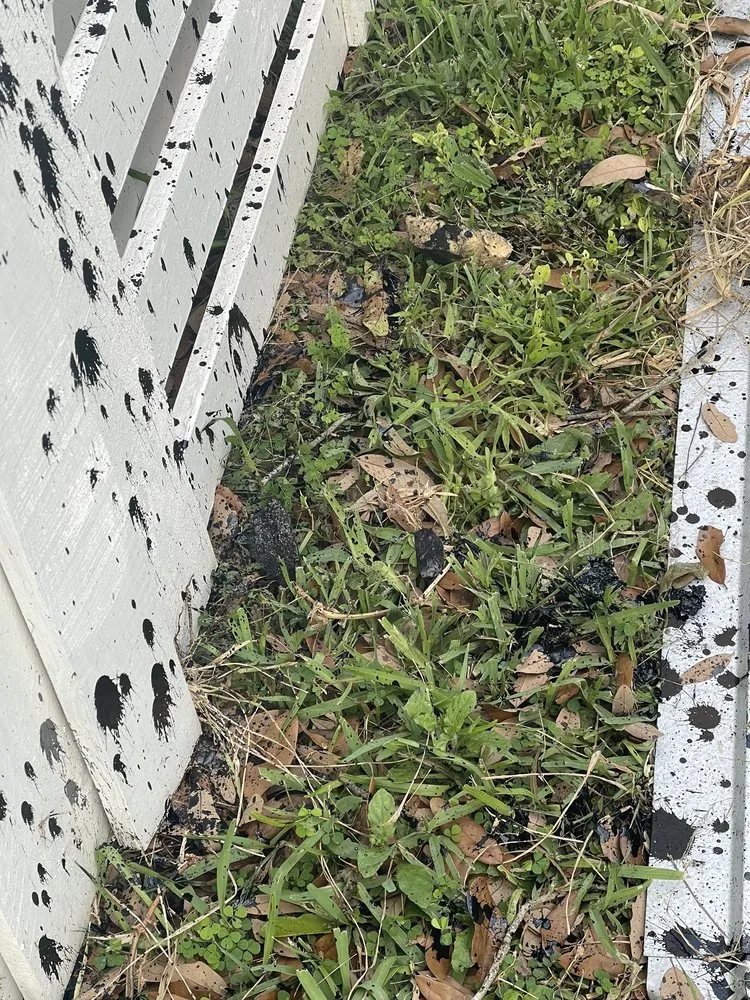 Slide of Navarro Roofing