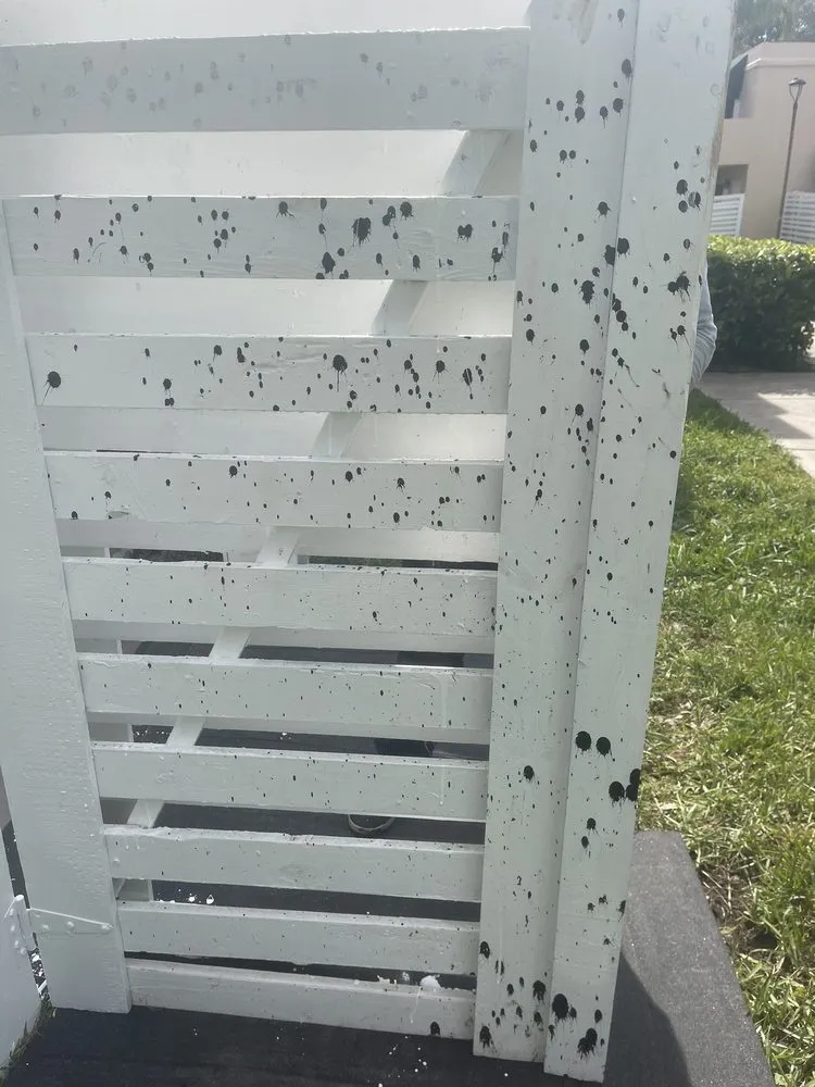 Slide of Navarro Roofing