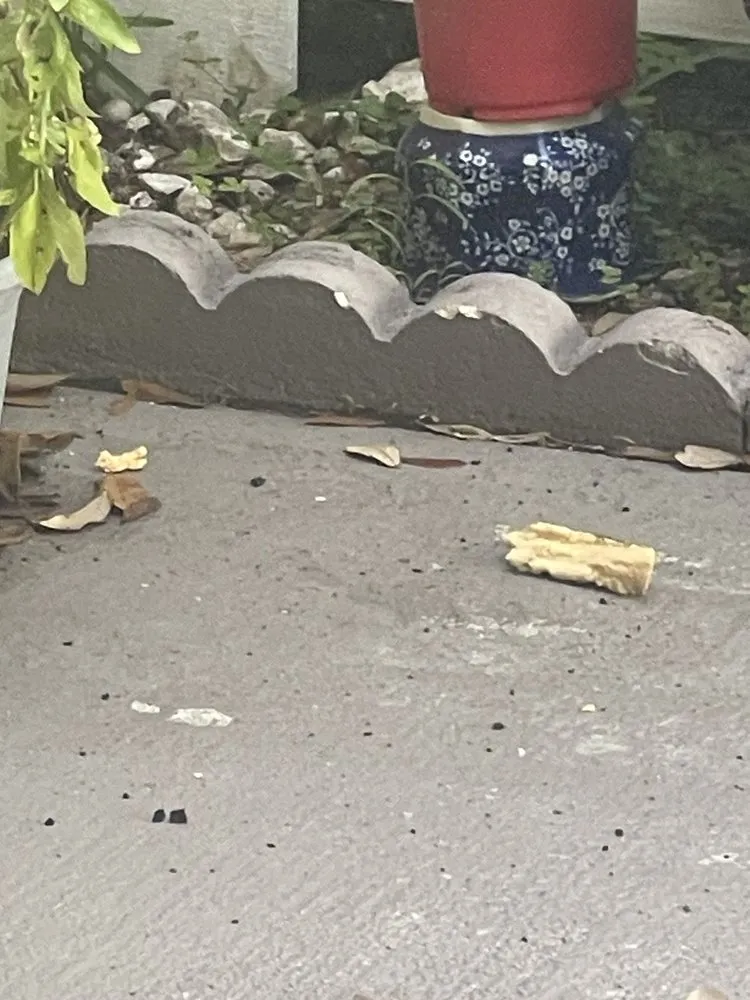 Slide of Navarro Roofing