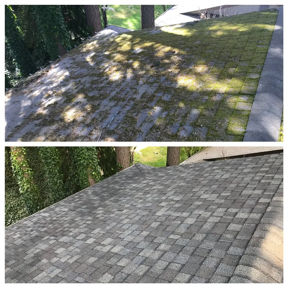 Slide of NCS Construction Service