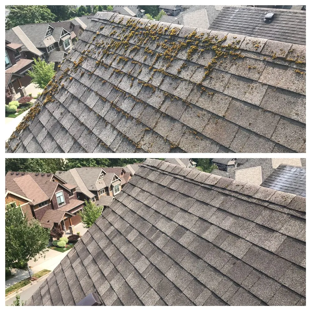 Slide of NCS Construction Service