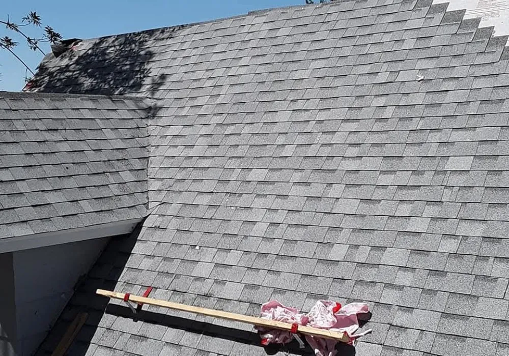 Slide of Neighborhoodgentleman