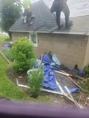 Neill and Son Roofing