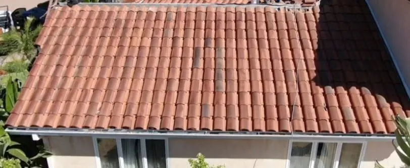 Slide of Nelson The Roofer