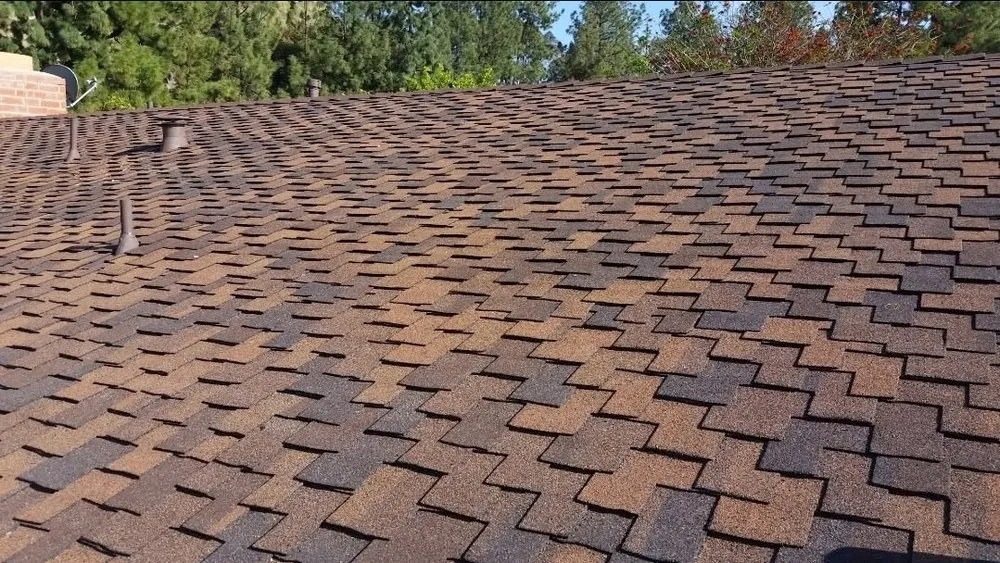 Slide of Nelson The Roofer