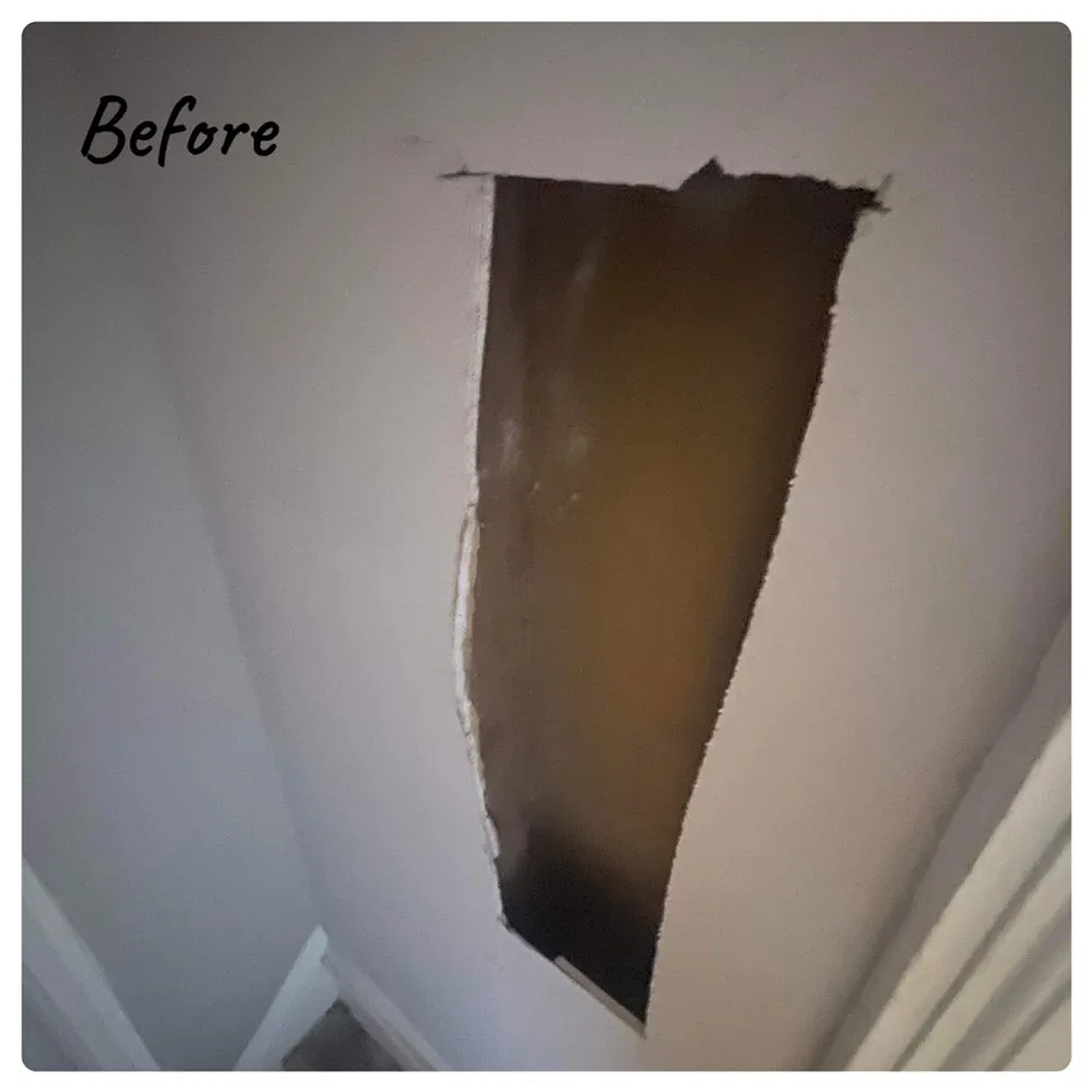 Slide of Nelson’s Mechanical