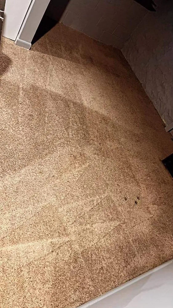 Slide of Nelson’s Mechanical