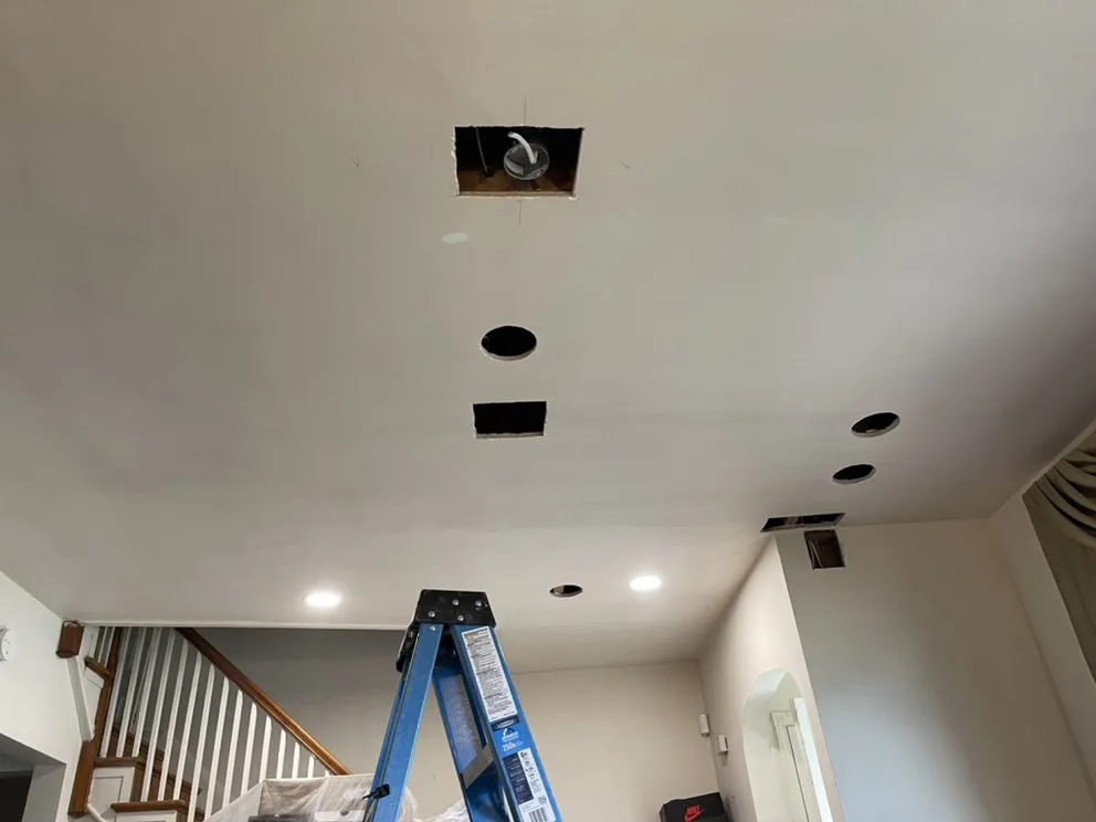 Slide of Nelson’s Mechanical