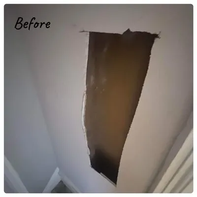 Nelson’s Mechanical