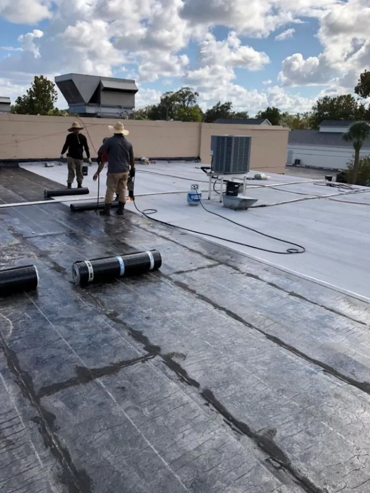 Expert shingle roofing service in Pt Orange, FL by Nemetz Roofing