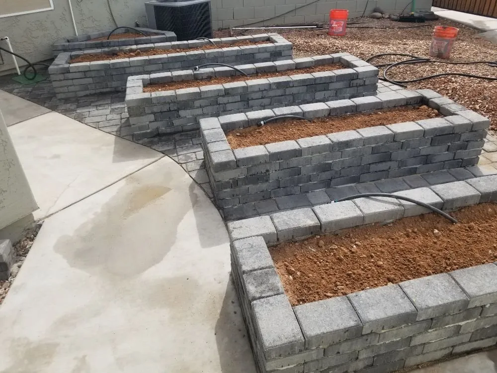 Slide of Neri's Landscape