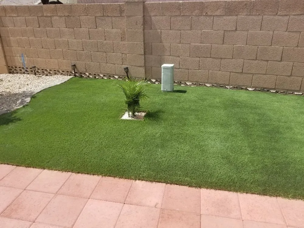 Slide of Neri's Landscape