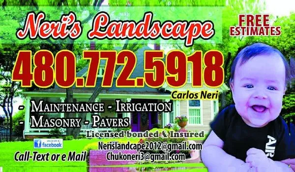 Neri's Landscape Logo