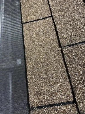 Never Clog Gutters Logo