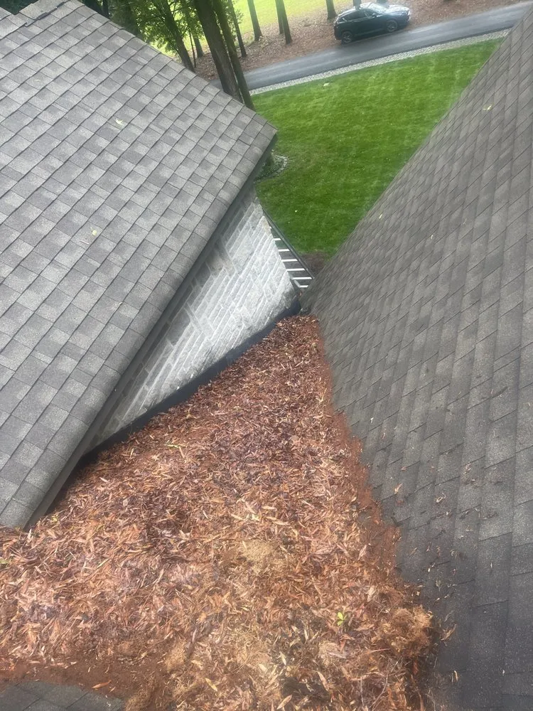 Slide of New Again Gutter Blowout And Roof Debris Service