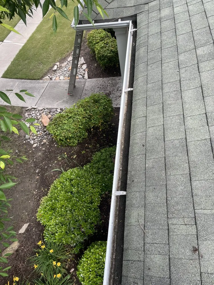 Slide of New Again Gutter Blowout And Roof Debris Service