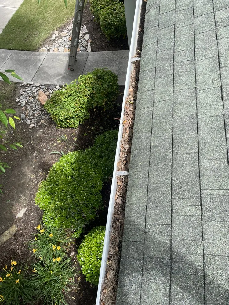 Slide of New Again Gutter Blowout And Roof Debris Service