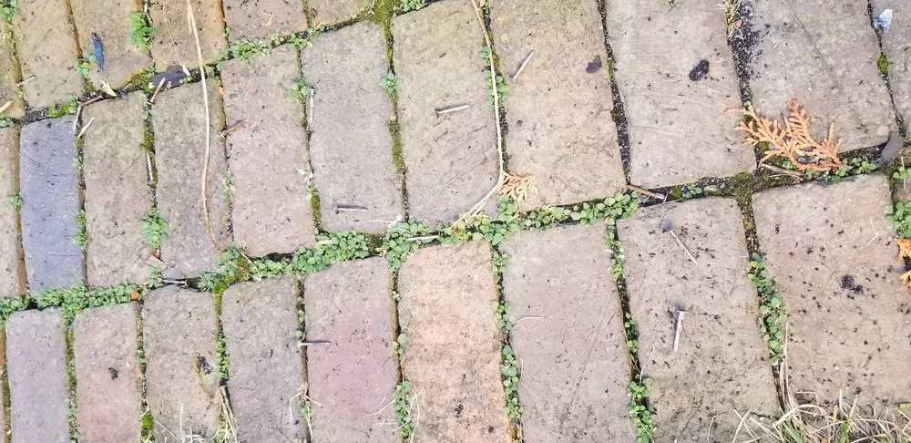 Slide of New American Home Improvement