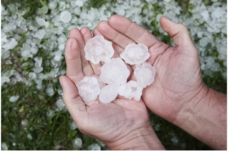 Slide of New Covenant Roofing