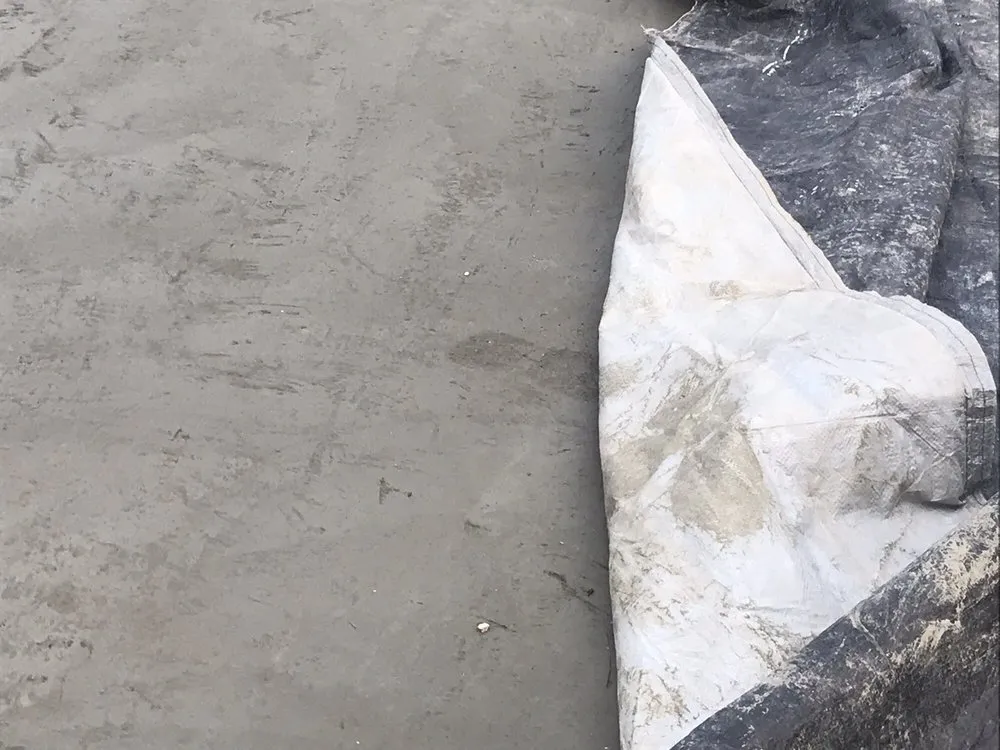 Slide of New Creation Builders