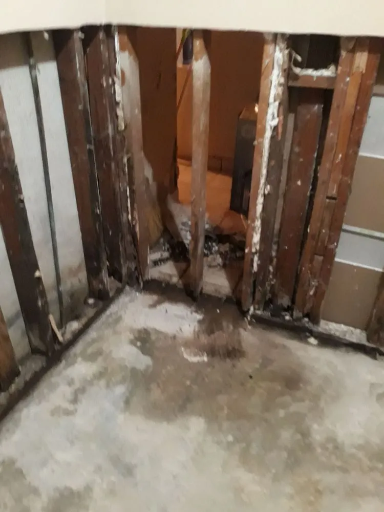 Trusted roof repair near you in E RNCHO DMNGZ, CA by New Creation Remodels