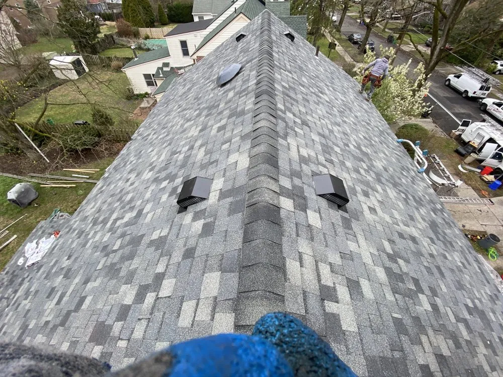 Slide of New Dynasty Roofing