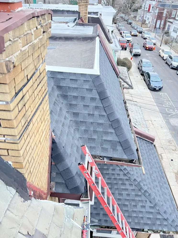 Slide of New Dynasty Roofing