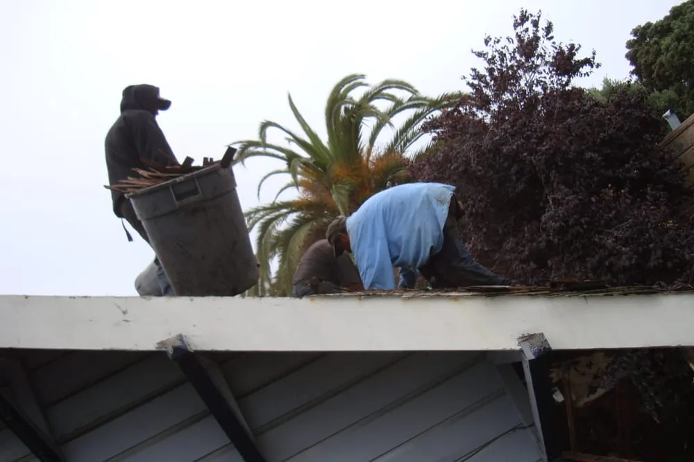 Slide of New High Protection Roofing