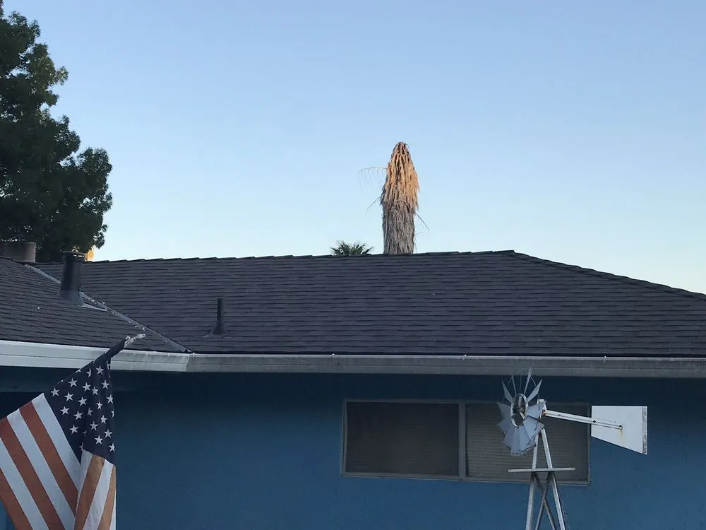 Expert flat roof repair experts serving Stevinson, CA - New Horizon Roofing