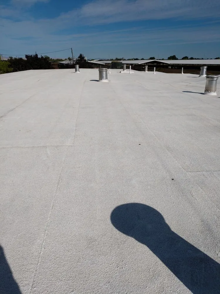 Reliable roof leak repair experts serving Stevinson, CA - New Horizon Roofing