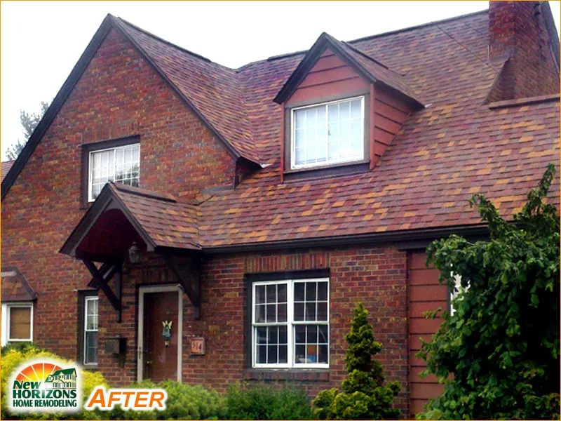 Slide of New Horizons