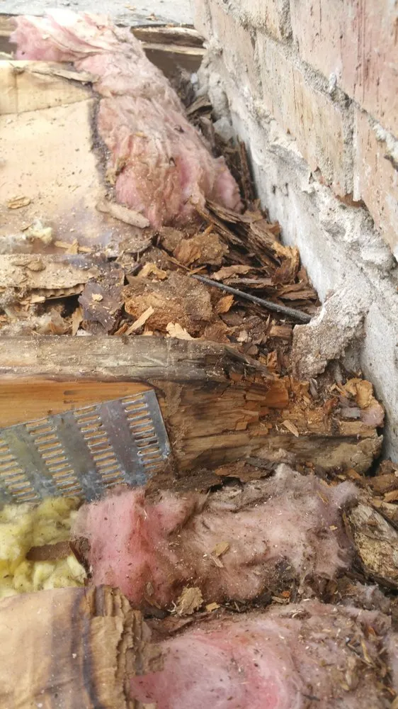 Slide of New Image Exteriors