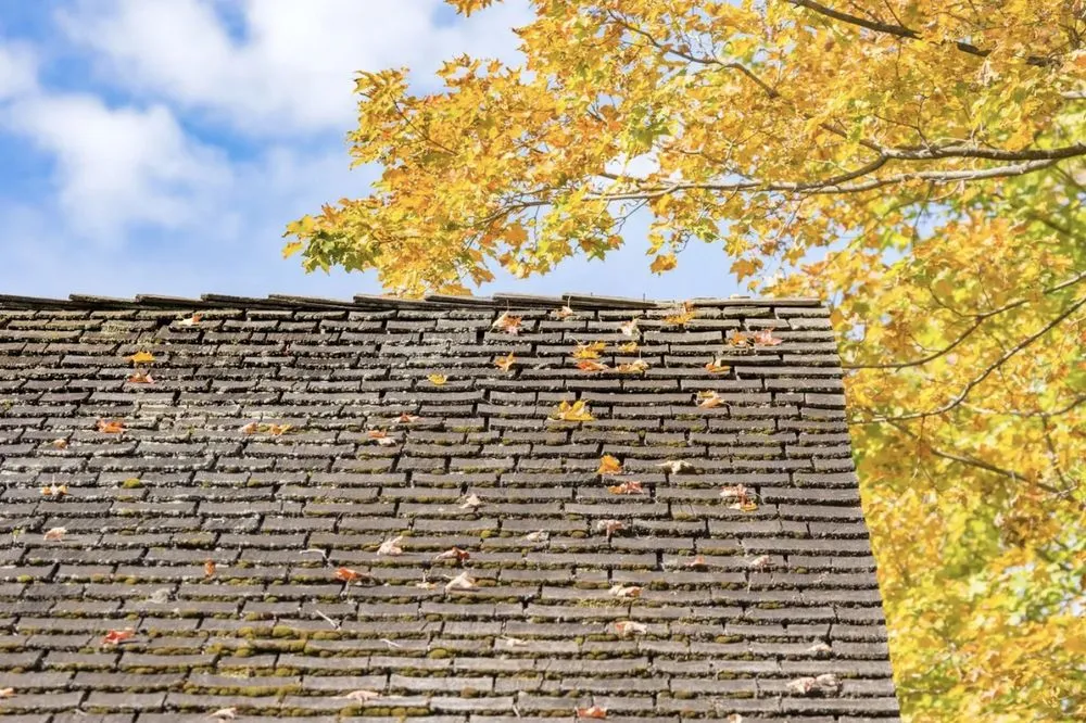 Slide of New Jersey Flat Roofing