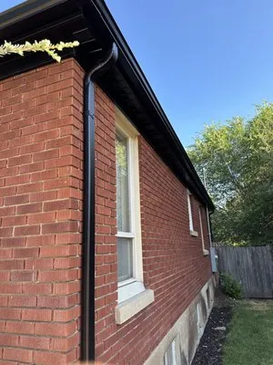 New Kingdom 2.0 Logo