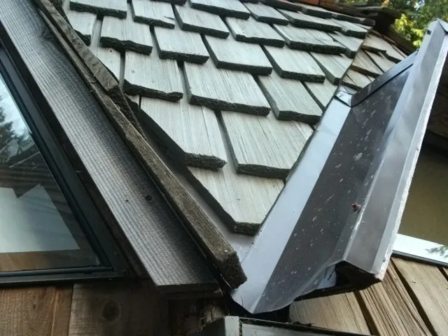 Slide of New Life Roof Care