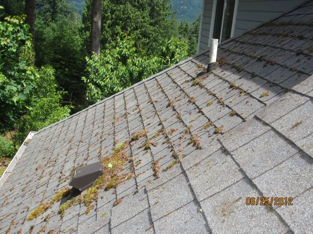 Slide of New Life Roof Care