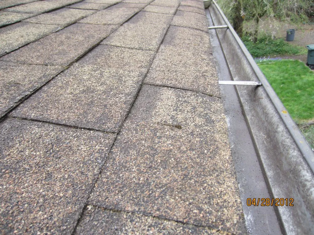 Slide of New Life Roof Care