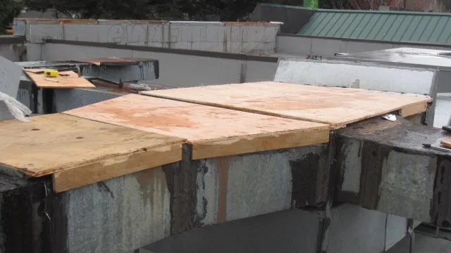 Slide of New Life Roof Care