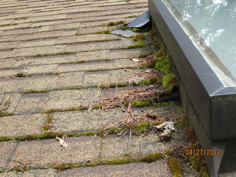 Slide of New Life Roof Care