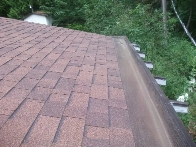 Slide of New Life Roof Care