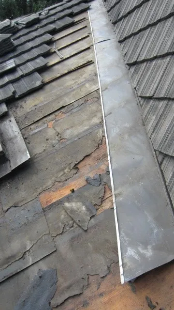 Slide of New Life Roof Care