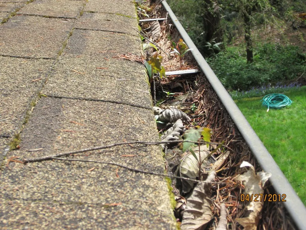 Slide of New Life Roof Care