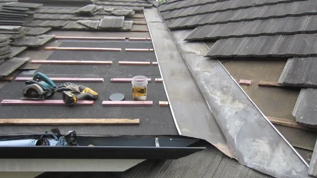 Slide of New Life Roof Care