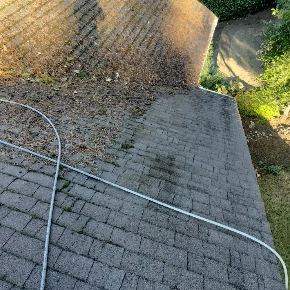 Slide of New Life Roof Cleaning LLC