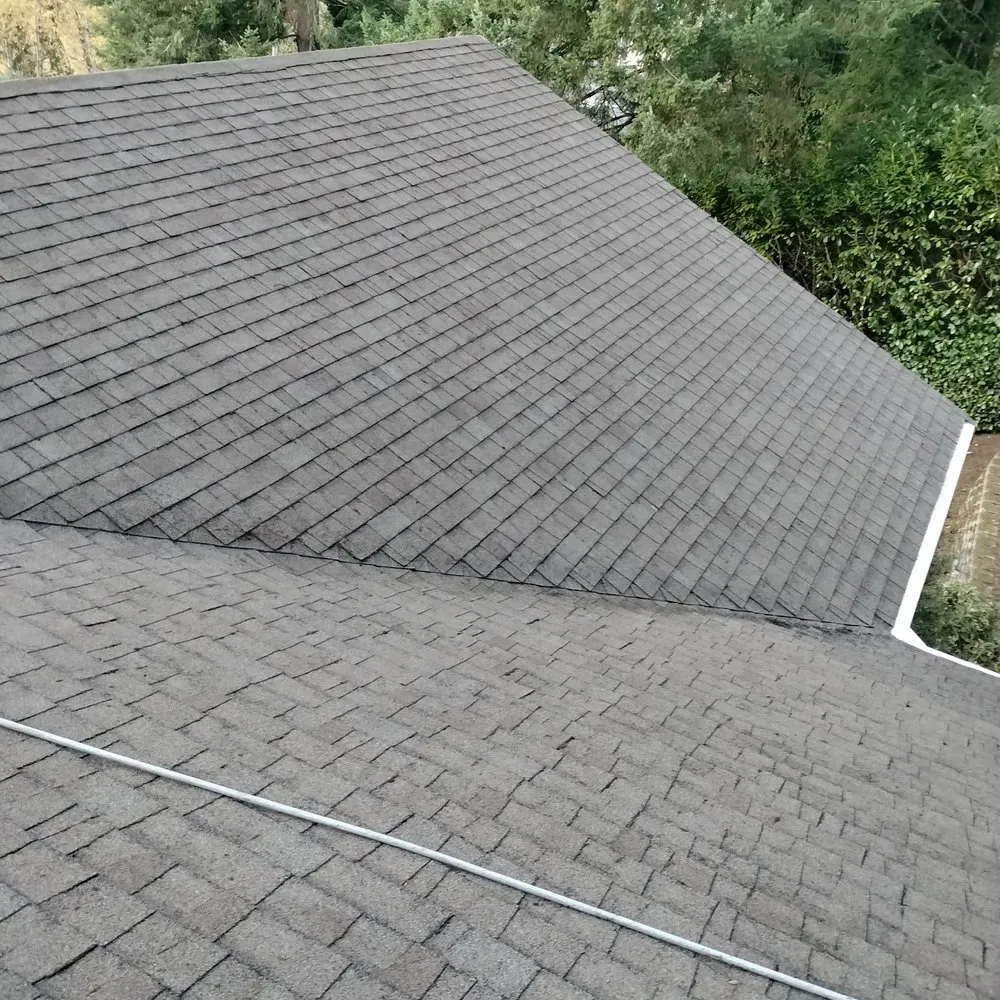 Slide of New Life Roof Cleaning LLC