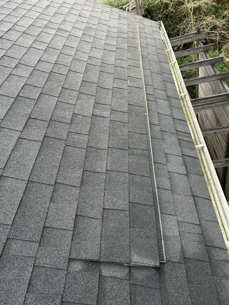 Slide of New Life Roof Cleaning LLC