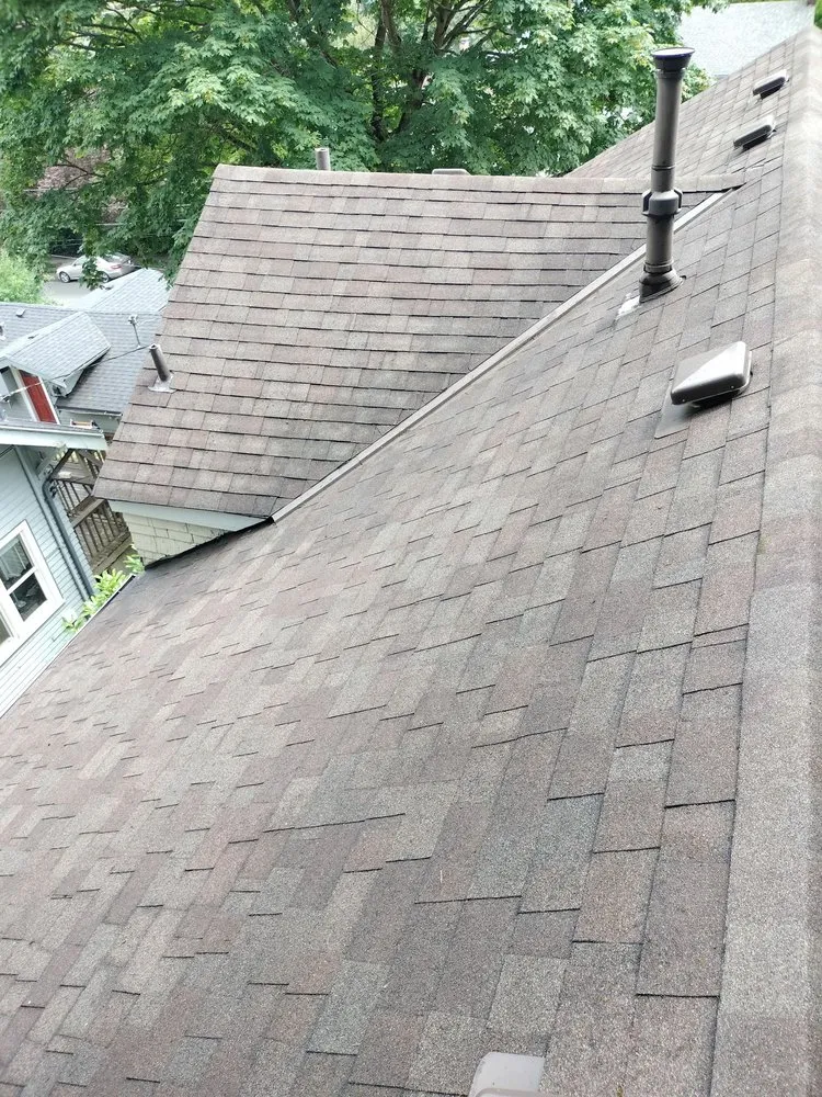 Slide of New Life Roof Cleaning LLC