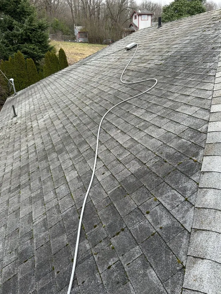 Slide of New Life Roof Cleaning LLC