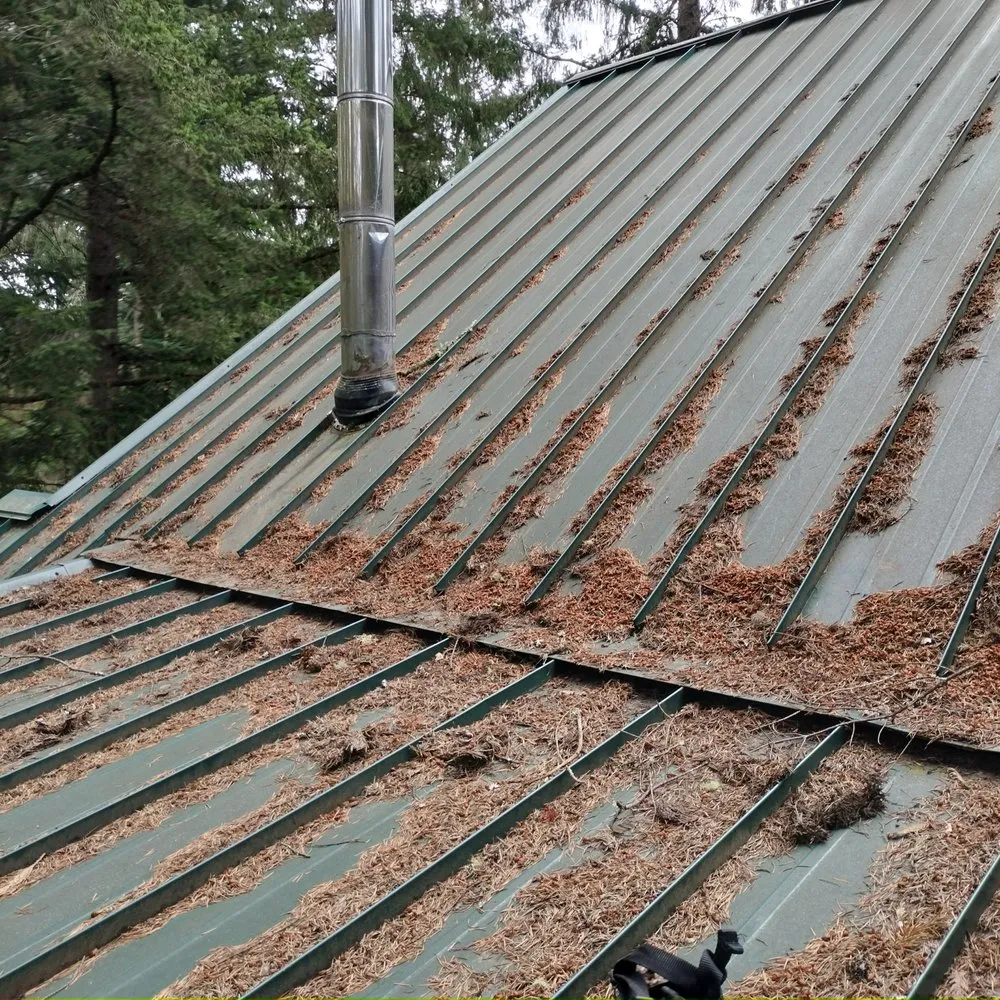 Slide of New Life Roof Cleaning LLC